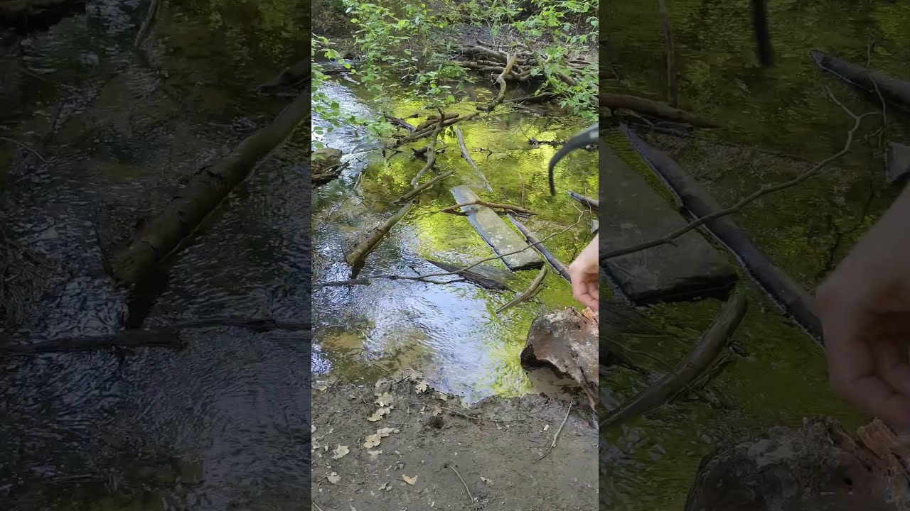 POV You Finally Tried Real Fishing Sunglasses Angler Fishingequipment Fishinggear