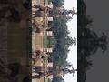 kesard onji dina 2025 #aladangady​ #culture​#tulunadu​ #viral  #shortsfeed #manglore​#trending​