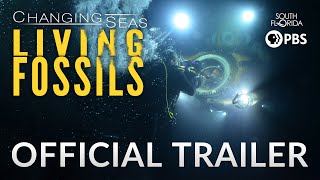 Download Living Fossils - Trailer Video MP3 Living Fossils - Trailer