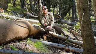 Idaho DIY Public Land OTC Archery Elk 2021 2 Bulls Down!