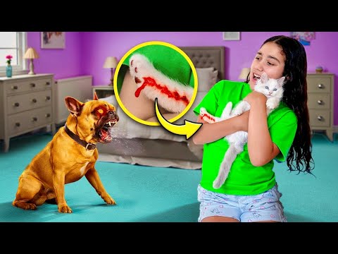 Can’t Believe this happened While we were Away!! *RABIES*