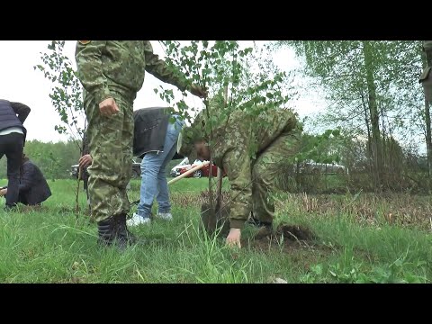 В агрогородке Гуды заложена семейная аллея