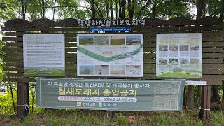 담양오방길 수목길(쉽게걷는길) 영상