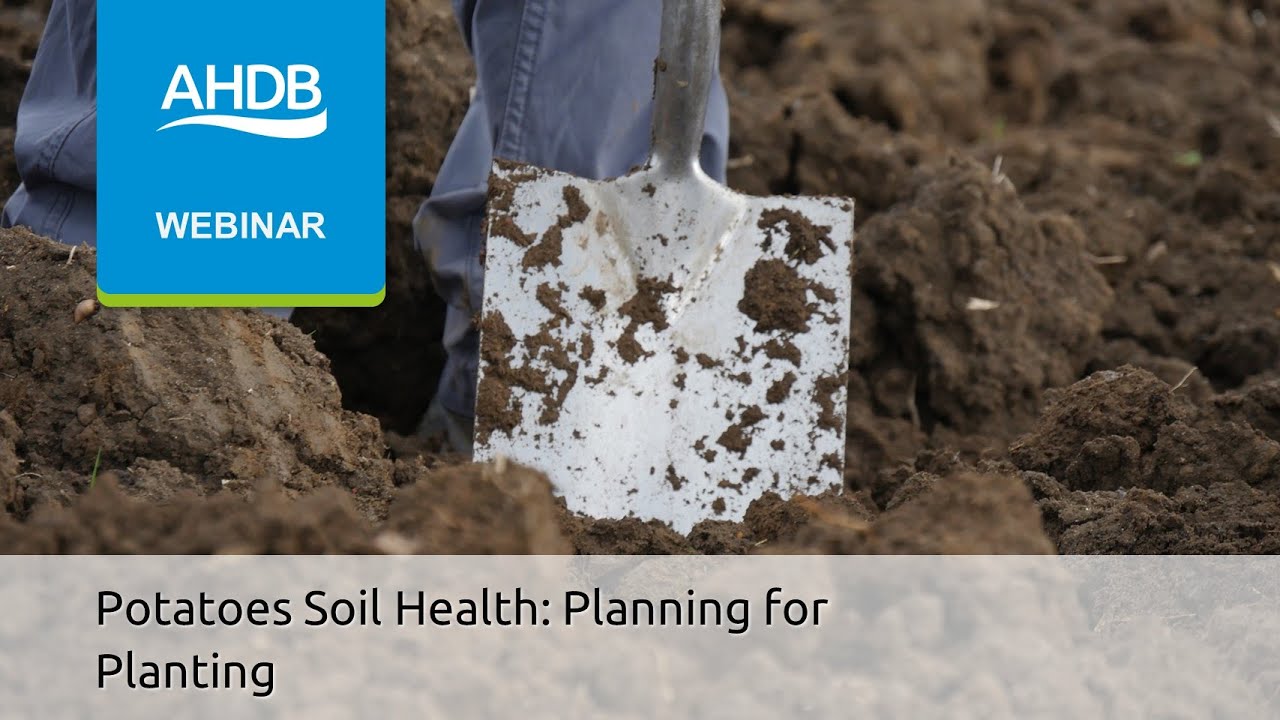Potatoes Soil Health: Planning for Planting