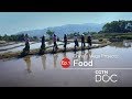 China's Mega Projects: Food