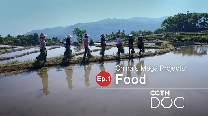China's Mega Projects: Food - DayDayNews