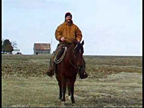 Quick Tips Series 4B - Using Spurs - YouTube