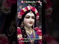 🌸✨️सारी दुनिया है दीवानी✨️🌸 #shortsfeed#shorts#krishna#youtubeshorts#radha#radharani#devotional#song