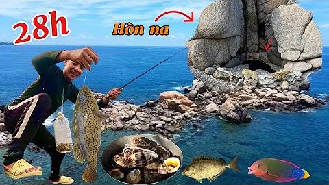 24 uur alleen leven op een modderpilaar op het eiland Hon Na, duiken, vissen en eten vinden | 24 ...