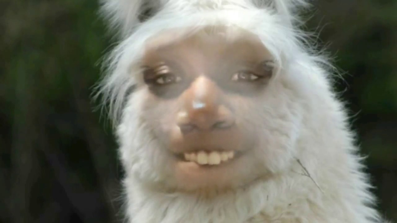 What i do when i am bored - YouTube