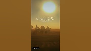 ستوريات دينيه/أفلا ينظرون إلى الابل كيف خلقت /حالات واتس آب قرآن/آيات قرانية قصيرة /ستوريات انستقرام