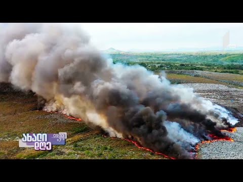 #ახლიდღე რჩევები - როგორ შევამციროთ ადამიანის უარყოფითი ზეგავლენა გარემოზე