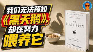 我们无法预知“黑天鹅”，却在努力喂养它丨《黑天鹅》揭示我们如何亲手把灾难放大 screenshot 3