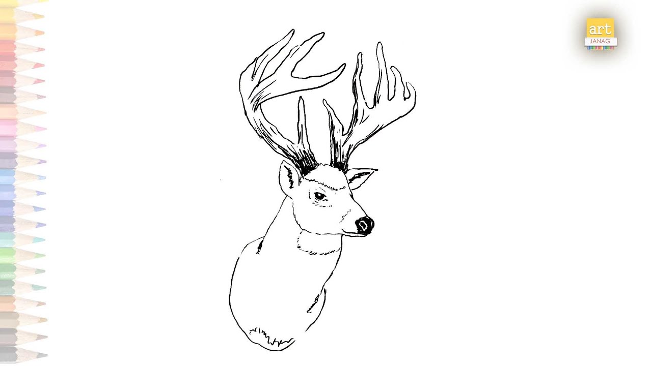 Deer head drawing outline | How to draw Deer head step by step | wild