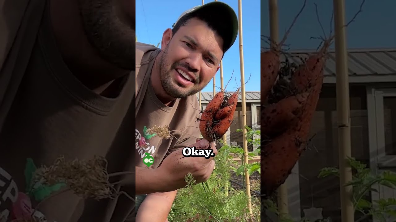 I Learned To Garden For These Harvests 