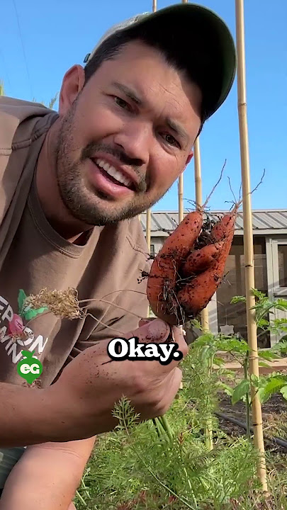 I learned to garden for these harvests...