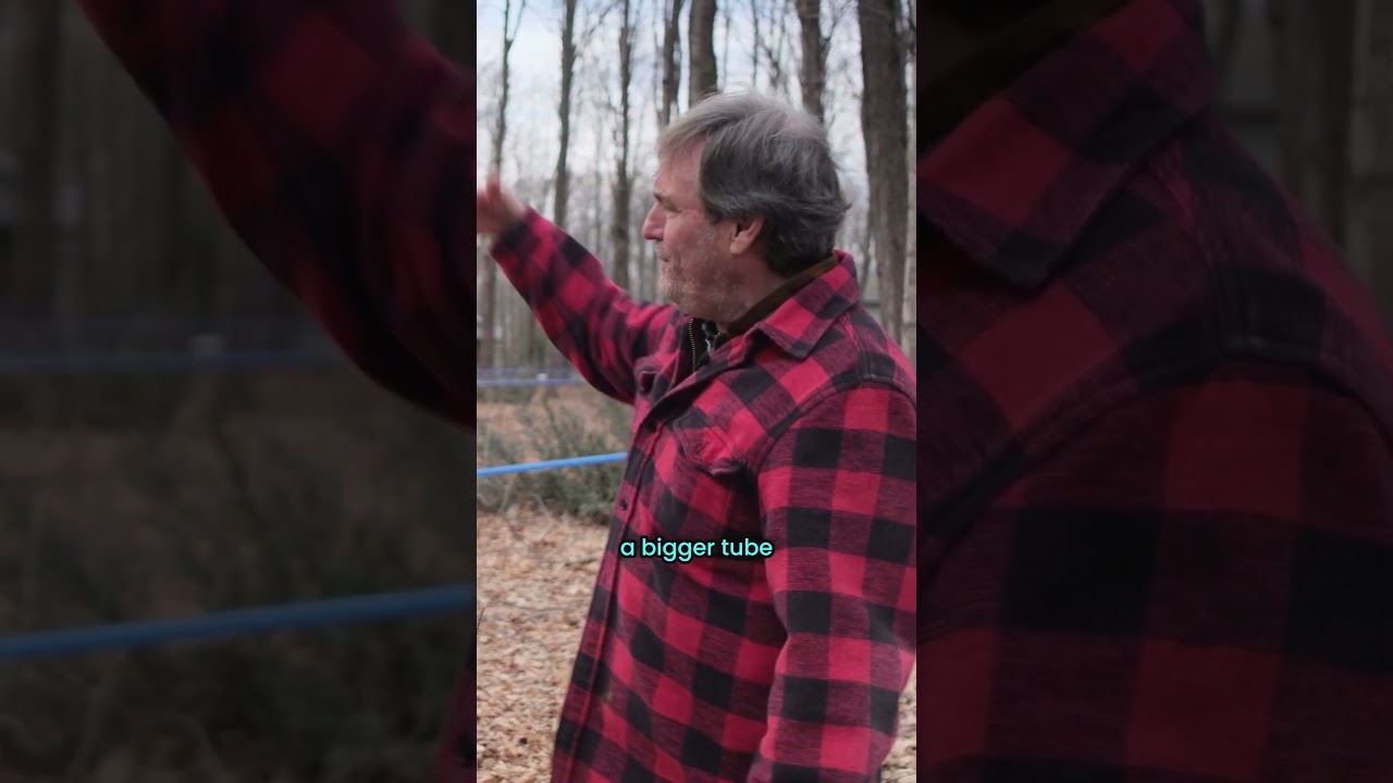 How maple syrup is actually made 🍁