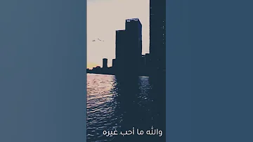 انا لو جابولى الامريكاني والانجليزي واليباني اكسبلور اهميه تيك توك 