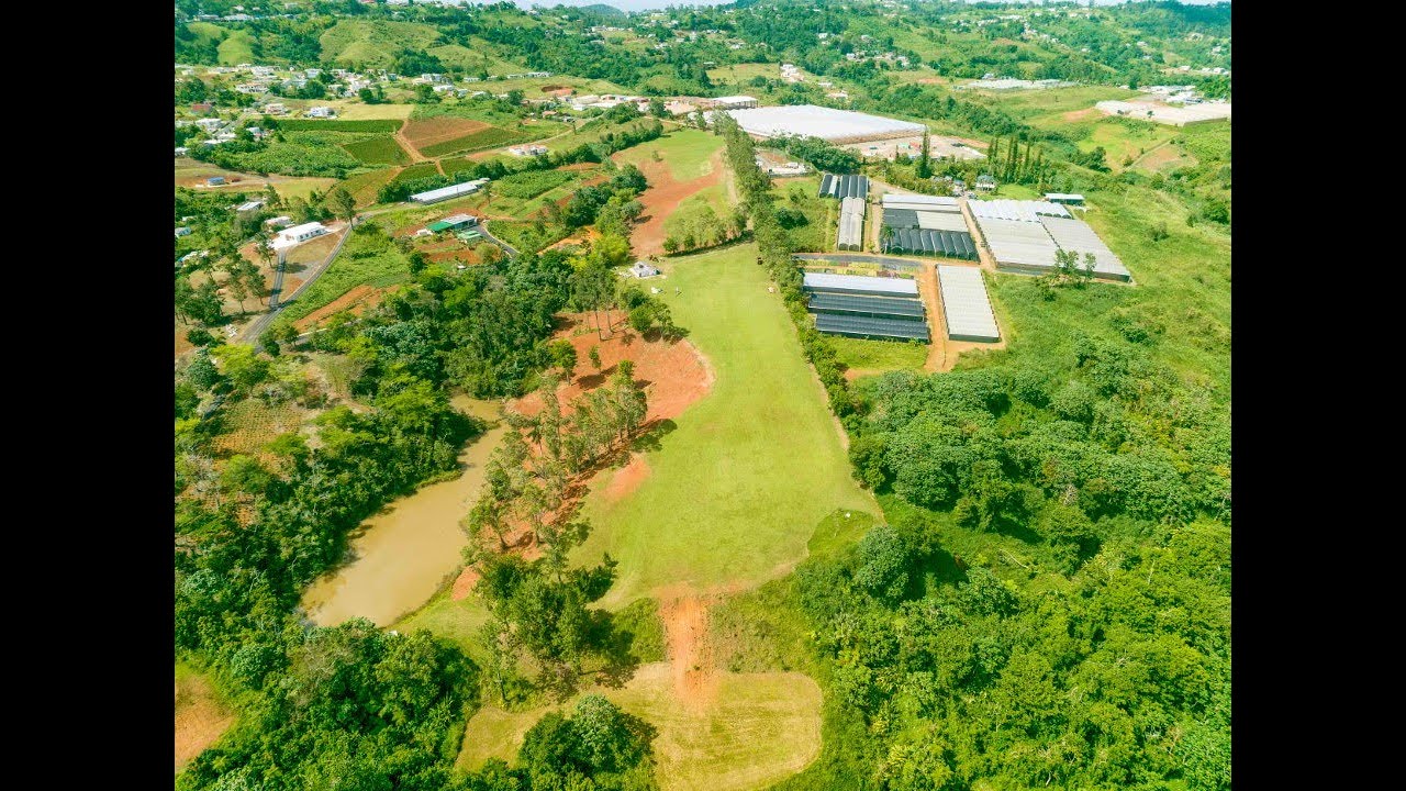 Cemetery Project FOR SALE 16.41 Acres in Barranquitas, Puerto Rico 1