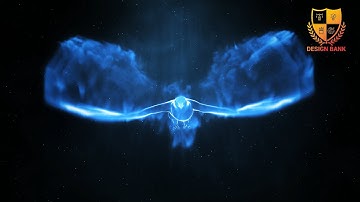 ID #2 - Magic Bird Logo Intro Animation Reveal - Design Bank Logo Animation