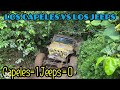 Capeles vs Los Jeeps/El Caterpillar llego en Grua by Waldys Off Road