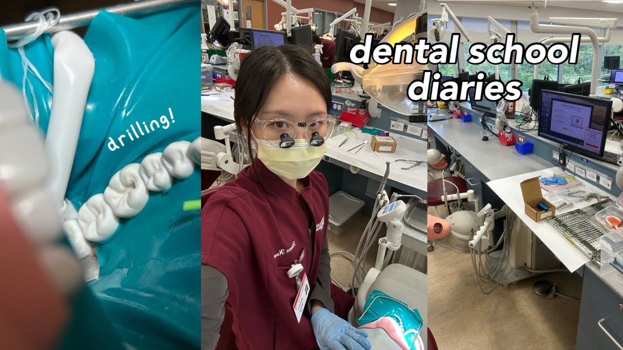 VLOG стоматологической школы: возвращение в школу, осенний семестр, много учёбы