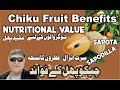 Chiko Kay Faeday Top Health Benefits Of Sapodilla Chiku Sapodilla Chikoo SAAOLHeartCare Chiko Kay Faeday Top Health Benefits Of Sapodilla Chiku Sapodilla Chikoo SAAOLHeartCare