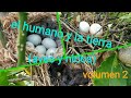 El humano y la tierra!,(aves y nidos) volumen 2.