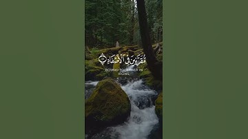 القارئ : بدر التركي #اكسبلور #quran #قران_كريم #راحة_نفسية #اكسبلور_فولو #بدر_التركي