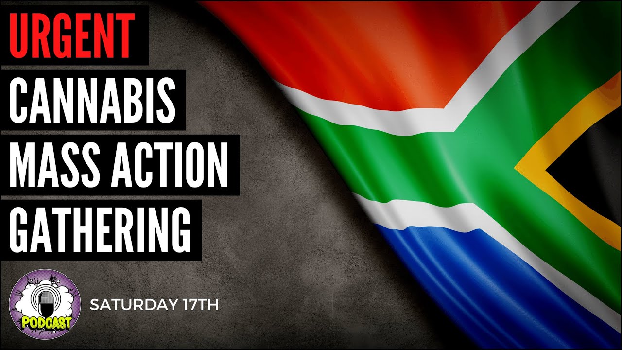 Cannabis Mass Action Gathering!