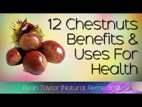 Video: Chestnut - Benefits, Properties, Use, Calorie Content