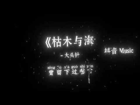 大头针 - 枯木与海（烟嗓版）『看不透谁在昨天，曾留下过誓言，你的路太过遥远，隔岸于海边。』🎧高质音乐｜拼音动态歌词｜抖音最火｜抖音｜TikTok