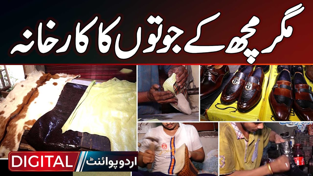 Crocodile Leather Shoes In Pakistan - Crocodile And Deer Leather Products Manufacturers In Pakistan