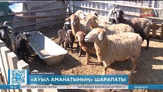 «Ауыл аманатының» шарапаты: 2024 жылға 18 мыңға жуық жұмыс орнын ашу жоспарланған