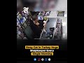 Stray Cat in Turkey Hugs Shopkeeper Every Single Morning