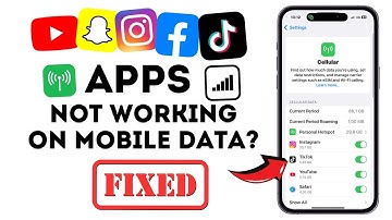 Apps Say No Internet Connection I Some Apps Not Working On Mobile Data iPhone [Fixed]