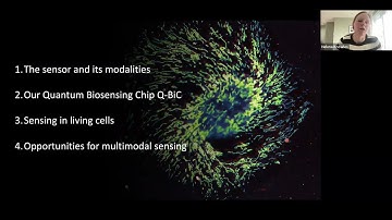 Dr. Helena Knowles  - "Multimodal Quantum Metrology in Living Systems using nanodiamonds"