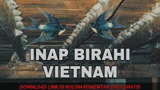 INAP BIRAHI VIETNAM TERBAIK 2019