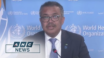 W.H.O.: Over 1,000 monkeypox cases detected in non-endemic countries | ANC