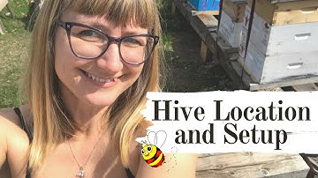 Hive Location and Setup - Apiary Design for Beginners - Beekeeping Girl - Bees & Bikinis