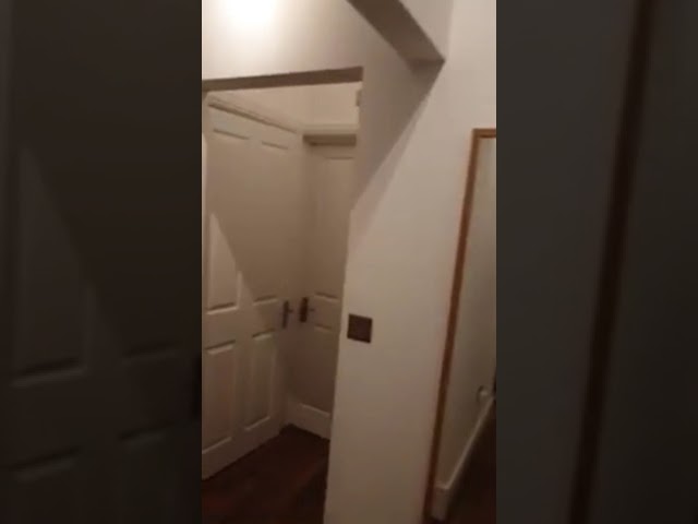 Video 1: