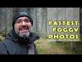 Capturing the forest mist: Fastest photo adventure in nature's foggy embrace