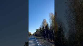 #вдохновение #тюменскаяобласть #поселок #деньвдеревне #тайга #цитаты #север #тюмень #рыбалка