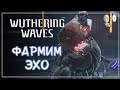 Фарм Эхо и сундуков по миру. | Wuthering Waves #18