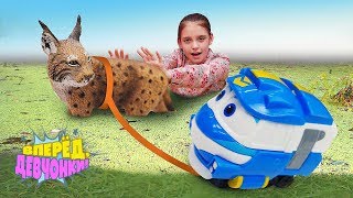 Веселые игры для девочек. Новые Collecta: обитатели леса. Шоу Вперед, девчонки! Веселые игры для девочек. Новые Collecta: обитатели леса. Шоу Вперед, девчонки!