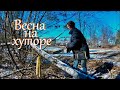 Понемногу убираюсь в лесу. Пара слов о хозяйстве // Будни на хуторе