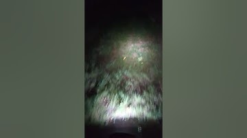 First Night-ride on Floatwheel ADV Pro