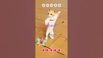 الحلوة مريم مريم العراق الجزائر السعوديه سوريا قطر 