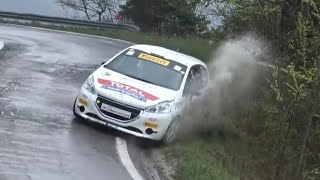 10 Minutes Of Pure Rally On The Limit 2019