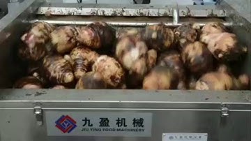 Máy rửa rau củ quả, máy rửa khoai nang, khoai sọ, máy rửa chà vỏ khoai môn